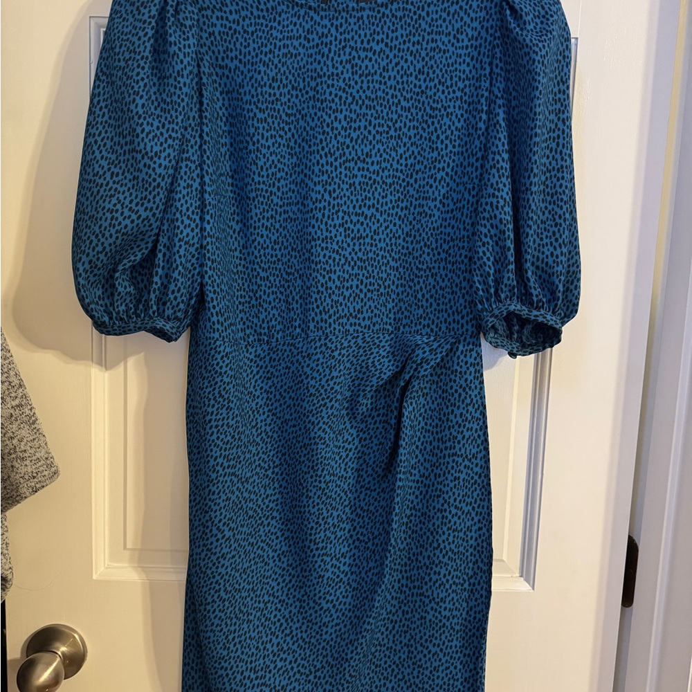 Banana Republic Teal Long Sleeve Dress